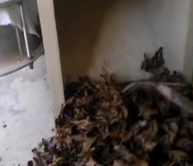 ����ե�ͻ�